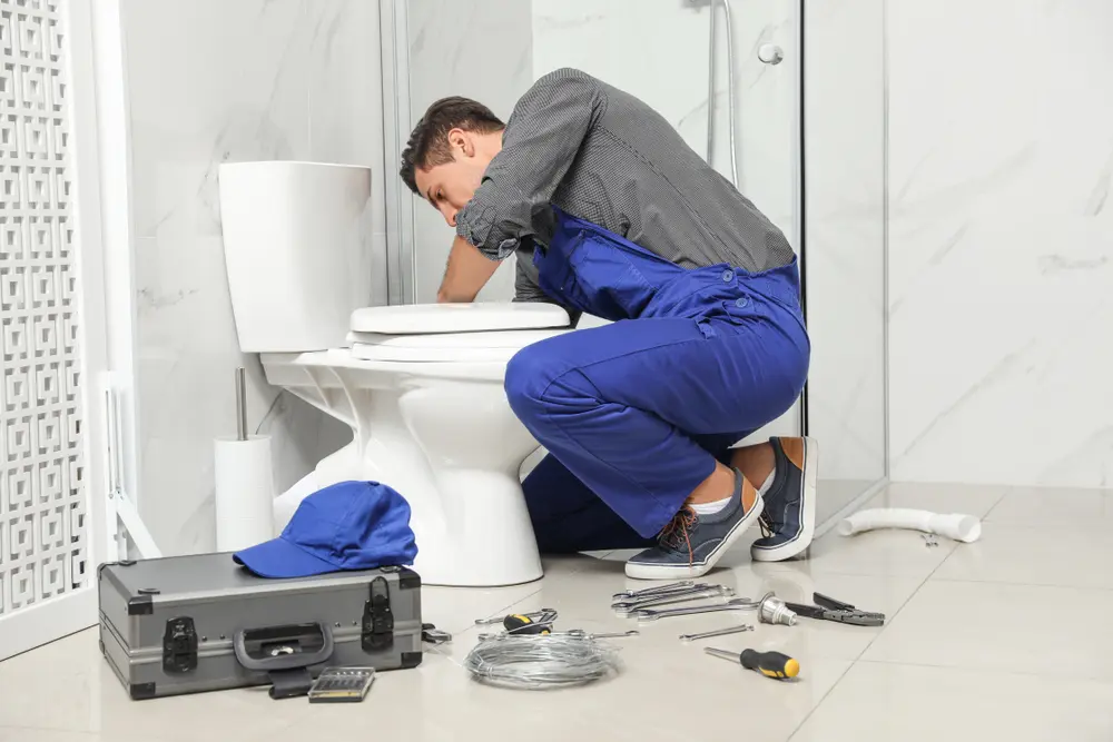 Toilet Repair in El Mesquite